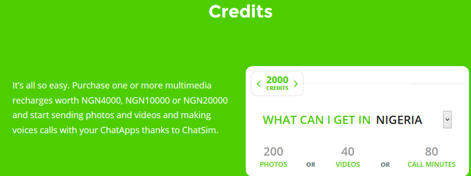 chatsim credits