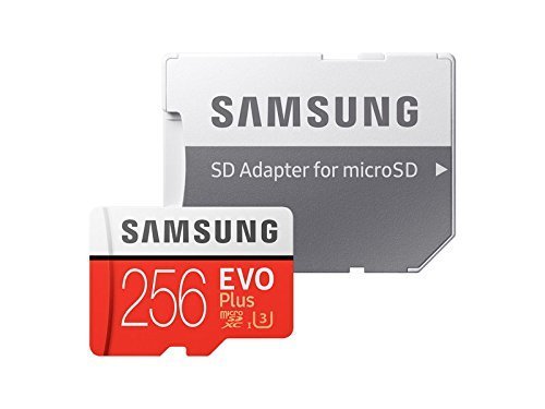 Samsung 256GB Evo Plus